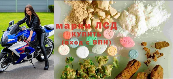 прущие крисы Новодвинск