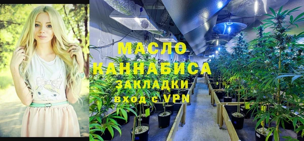 винт Абаза
