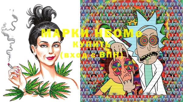 прущие крисы Новодвинск
